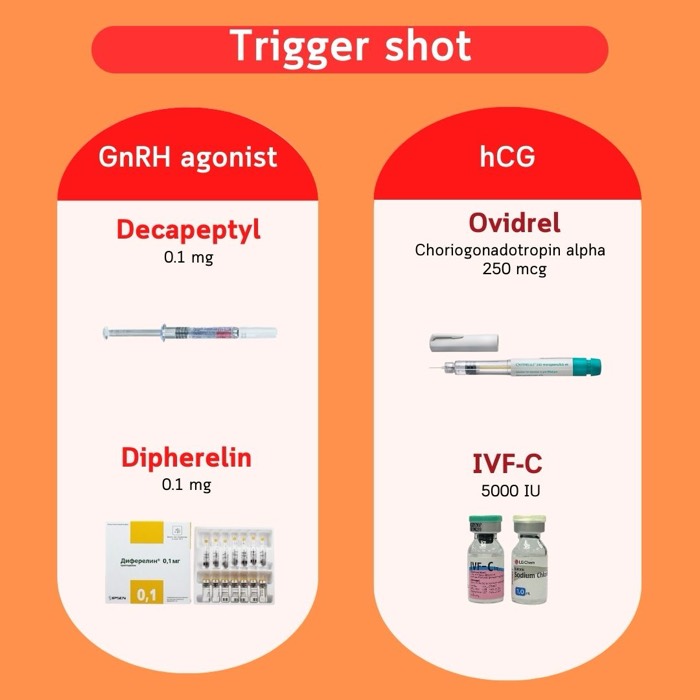 Mũi tiêm trưởng thành — chất chủ vận GnRH (Decapeptyl, Diphereline) và hCG (Ovidrel, IVF-C)